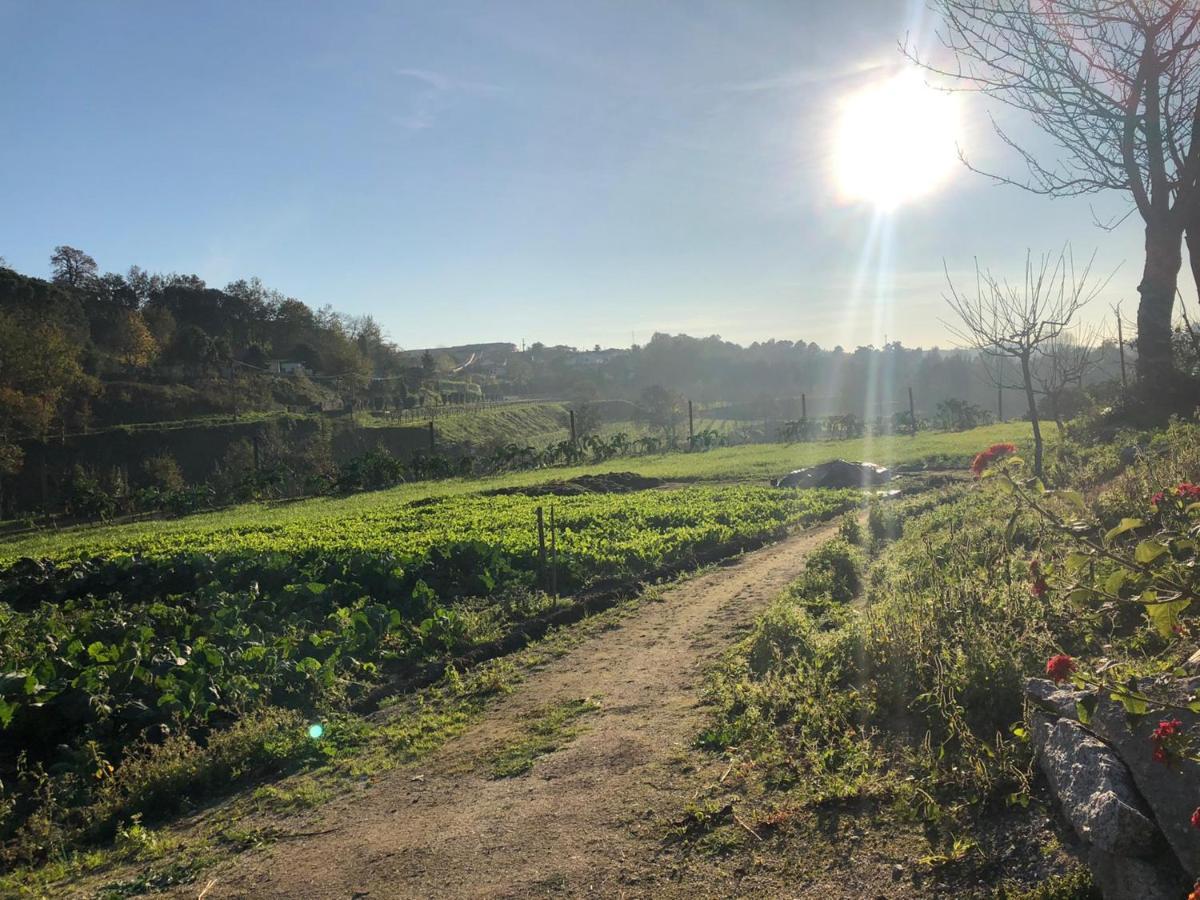 فيلا Quinta Do Ovelheiro غيمارايش المظهر الخارجي الصورة