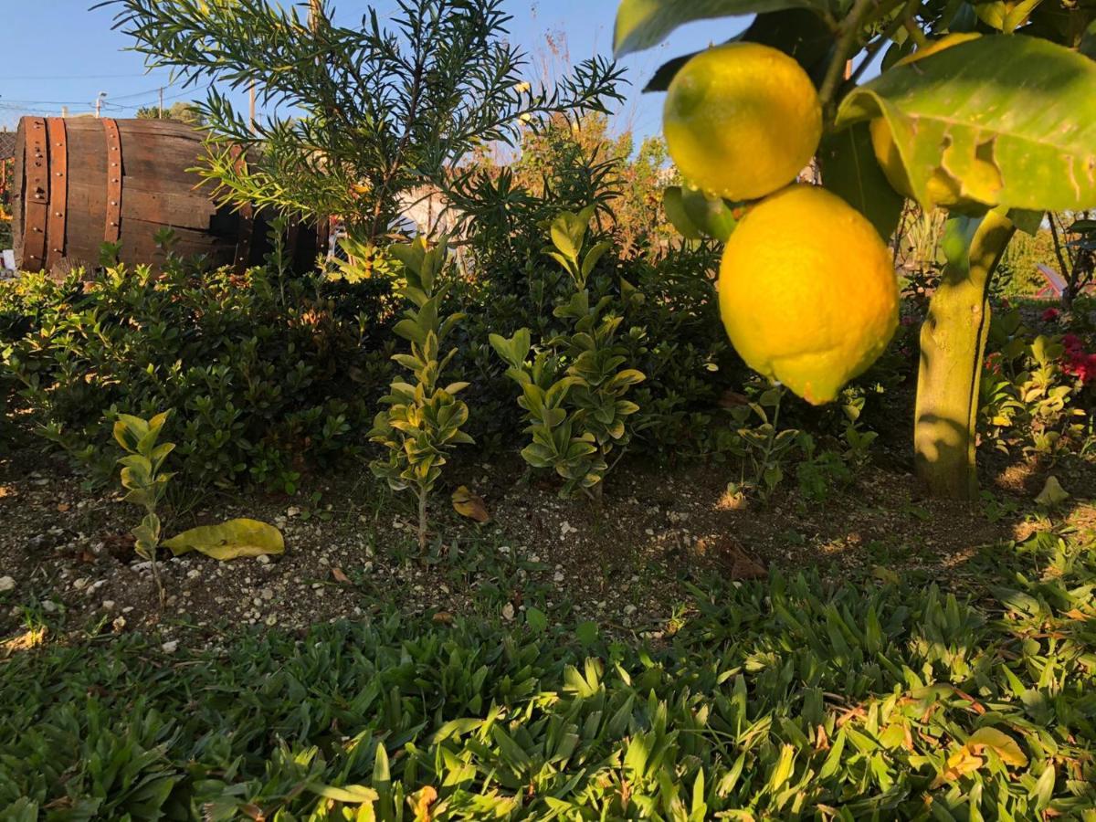 فيلا Quinta Do Ovelheiro غيمارايش المظهر الخارجي الصورة